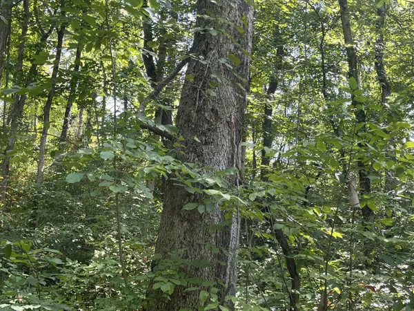 36743 SR 143, Pomeroy, OH 45769