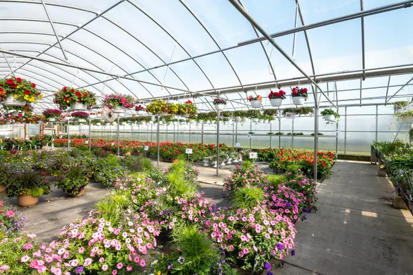 8627 Cleveland AVE, Baroda Twp, MI 49101