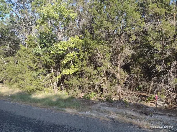 1011 Comanche Cove Drive, Granbury, TX 76048