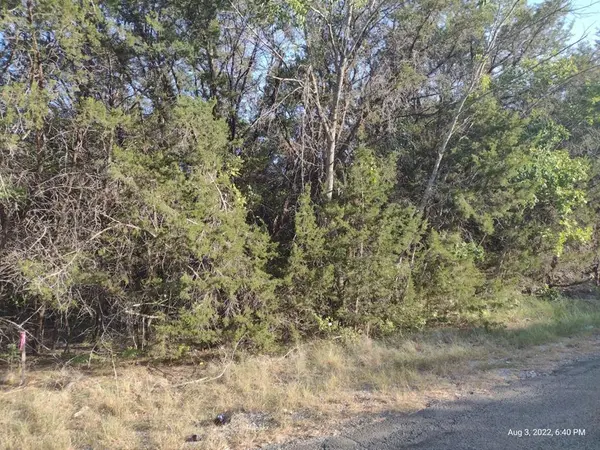 1011 Comanche Cove Drive, Granbury, TX 76048