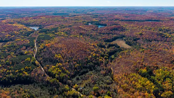 170 Shavens Lake RD, Bonnechere Valley, ON K0J 1T0