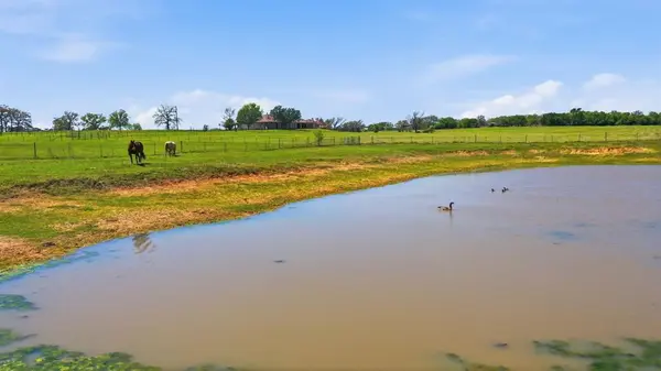 3601 Springfield Road, Springtown, TX 76082