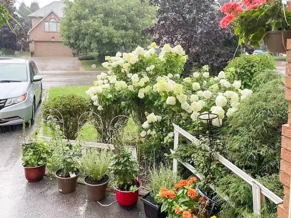 64 Springfield BLVD, Hamilton, ON L9K 1H8