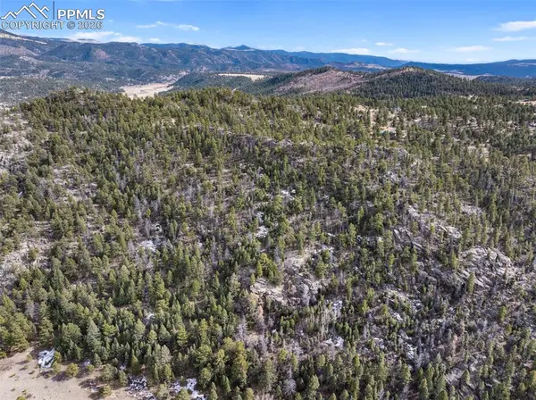 67 Mohawk CIR, Florissant, CO 80816