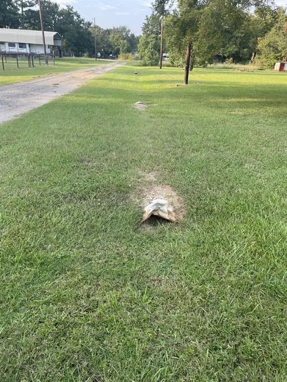 41and42 Lisa Lane, Streetman, TX 75859