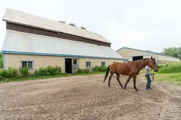 3563 Vandorf Side Road, Whitchurch-stouffville, ON L4A 7X5