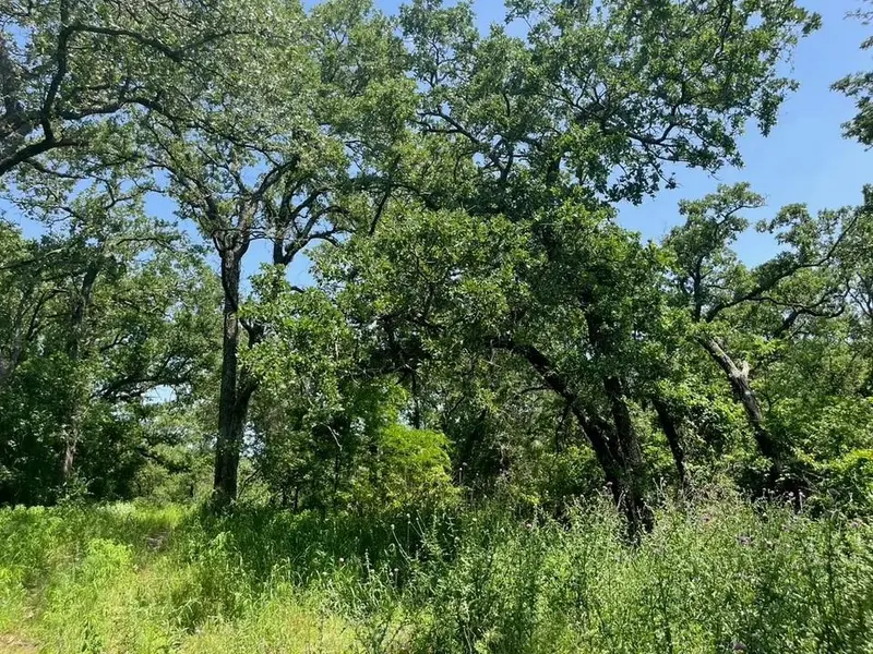 Lot 44 Antrim Court, Poolville, TX 76487