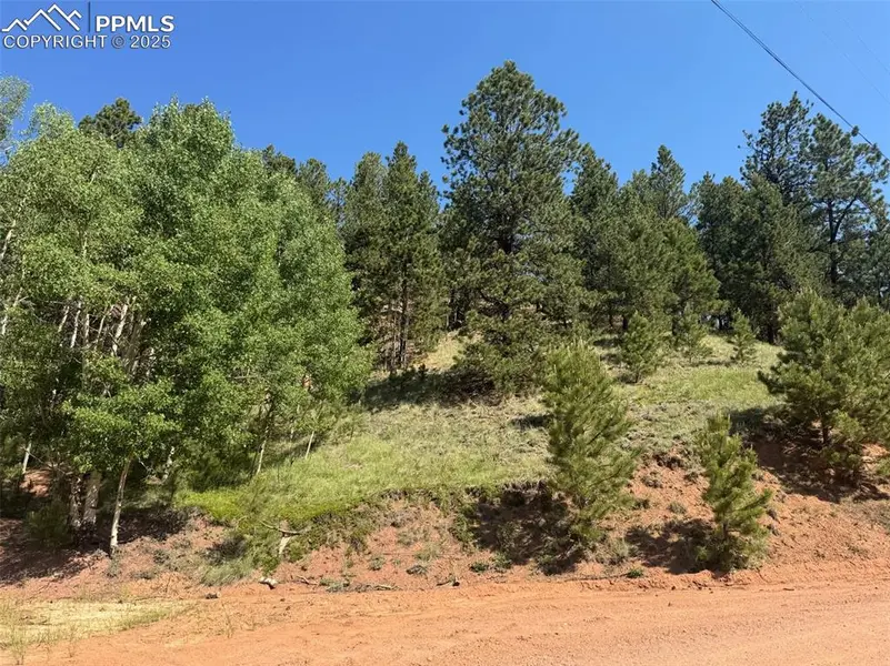281 Pikes Peak DR, Divide, CO 80814