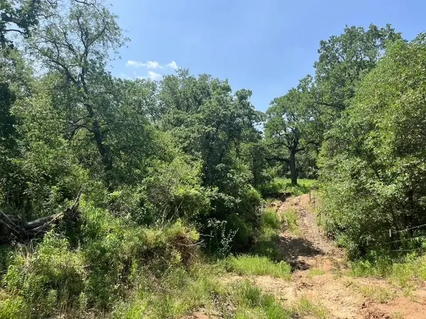 Lot 44 Antrim Court, Poolville, TX 76487
