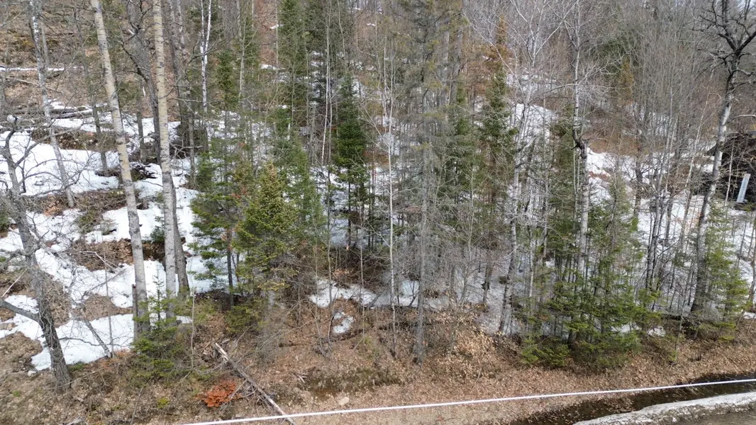 0 Trapper's Trail RD, Dysart Et Al, ON K0M 1S0