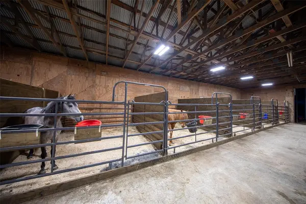 1095 FM 194, Blossom, TX 75416