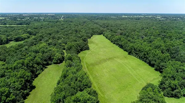 1095 FM 194, Blossom, TX 75416