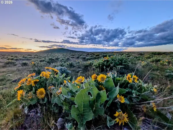 905 Randall RD #Lot 1, Centerville, WA 98613