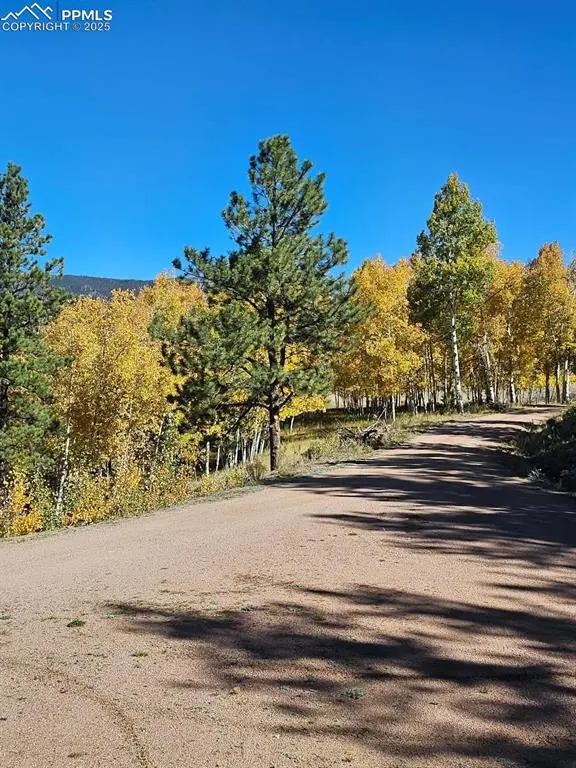 7275 Highway 9, Guffey, CO 80820