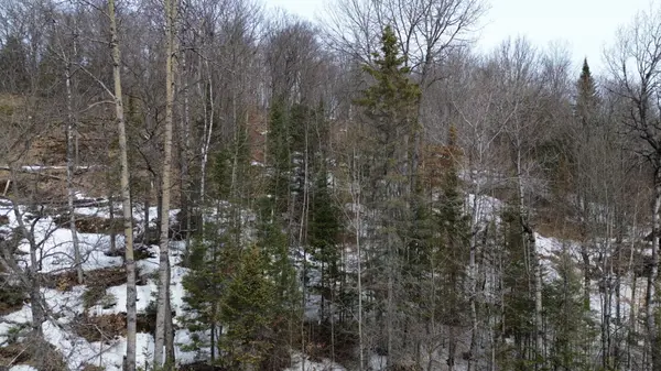 0 Trapper's Trail RD, Dysart Et Al, ON K0M 1S0