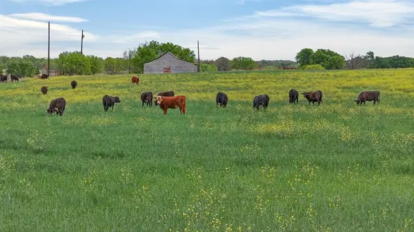 1521 Boyd Road, Granbury, TX 76049