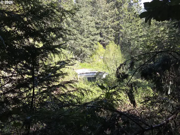 96113 EUCHRE CREEK RD,  Gold Beach,  OR 97444