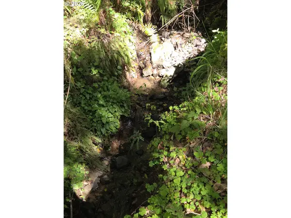 96113 EUCHRE CREEK RD, Gold Beach, OR 97444