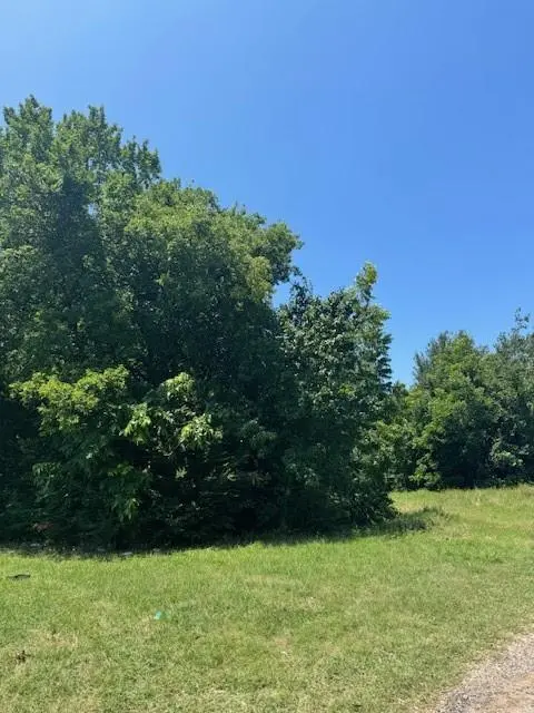 1316 Colvin Avenue, Fort Worth, TX 76104