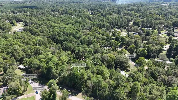 Lot 226 Canyon Drive, Onalaska, TX 77360