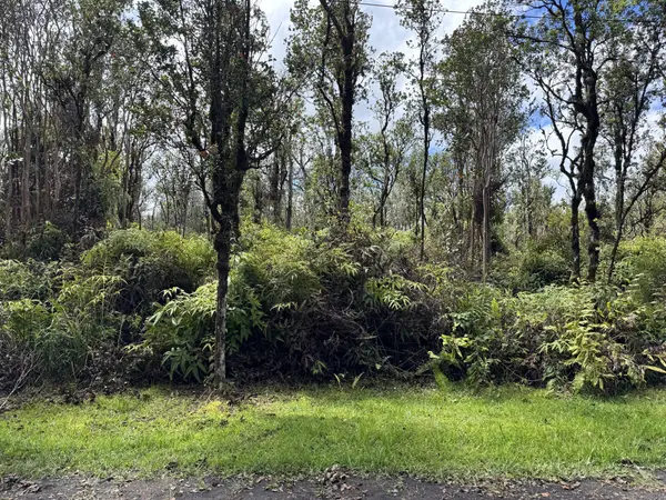 OHELO ST #Lot 29, Mountain View, HI 96771