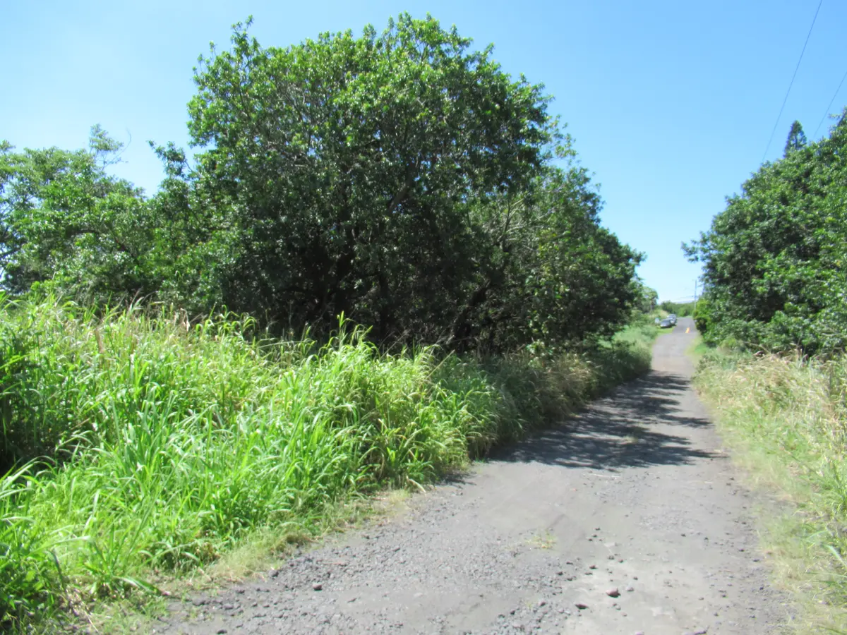 KAI KANE LP, Naalehu, HI 96772