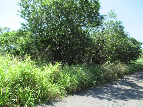 KAI KANE LP, Naalehu, HI 96772