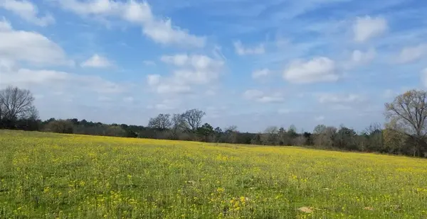 TBD FM 317, Chandler, TX 75758