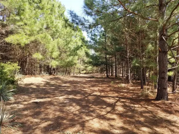 TBD FM 317, Chandler, TX 75758