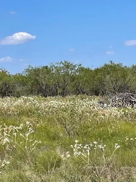 TBD County Road 3241, Hubbard, TX 76648