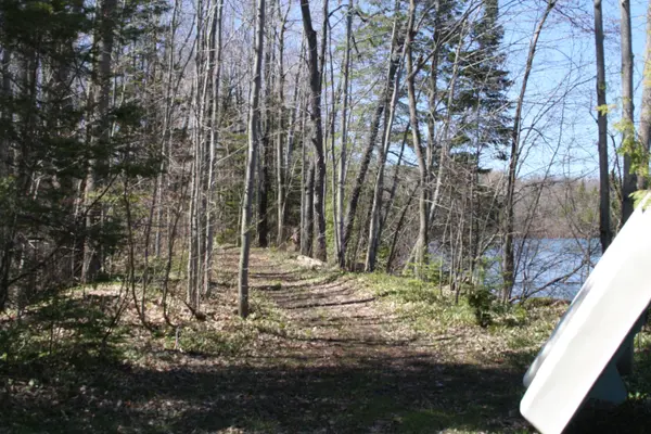 1912 South Orr Lake RD, Springwater, ON L0L 1P0