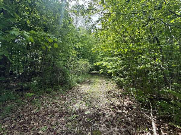 0 Oakwood LN, Greater Napanee, ON K0H 1G0