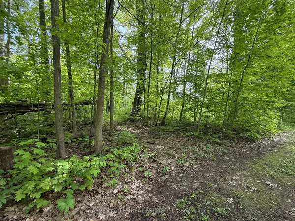 0 Oakwood LN, Greater Napanee, ON K0H 1G0