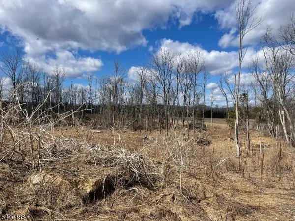 83 Creek Rd, Green Twp., NJ 07821