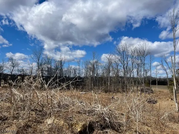 83 Creek Rd, Green Twp., NJ 07821