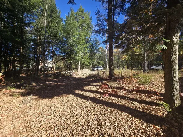 Lot 14 Laidlaw AVE, Gravenhurst, ON L0K 2B0