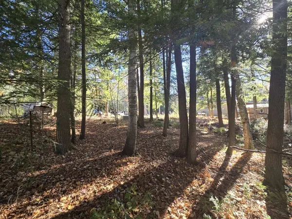 Lot 14 Laidlaw AVE, Gravenhurst, ON L0K 2B0