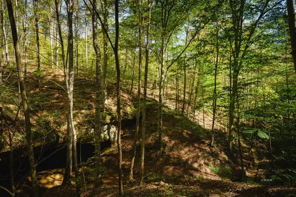 0000 Little Kyger, Cheshire, OH 45620