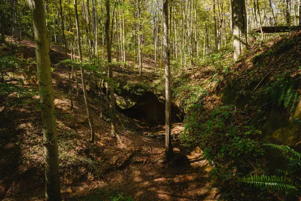 0000 Little Kyger, Cheshire, OH 45620