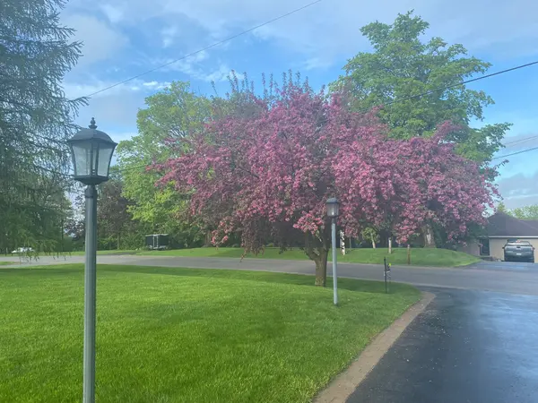 242 Stephenson Point RD, Scugog, ON L9L 1B4