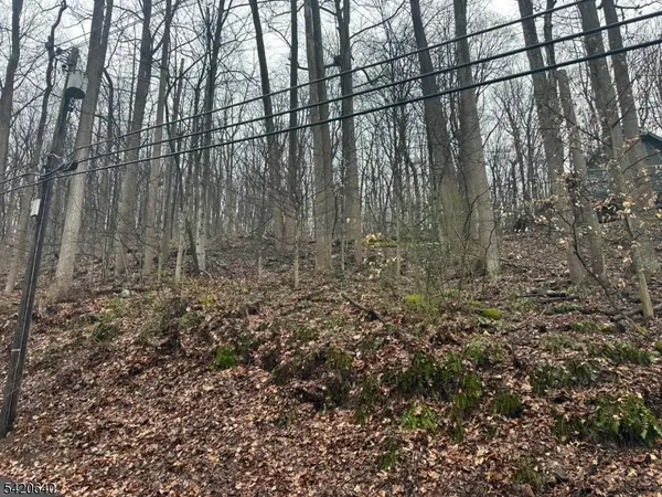 120 Millbrook Road, Franklin Twp., NJ 07882