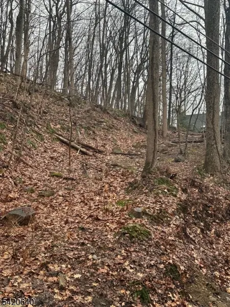 120 Millbrook Road, Franklin Twp., NJ 07882