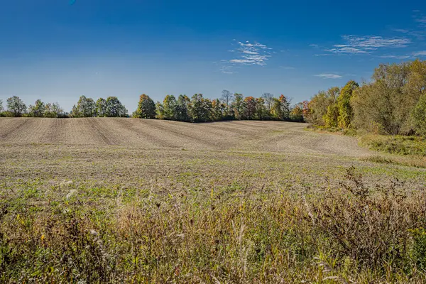 3012 8th Concession RD, Adjala-tosorontio, ON L0G 1W0