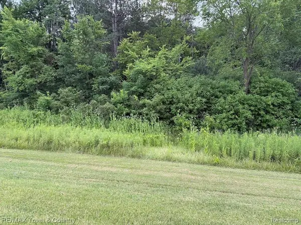 0 Vienna, Thetford Township, MI 48420