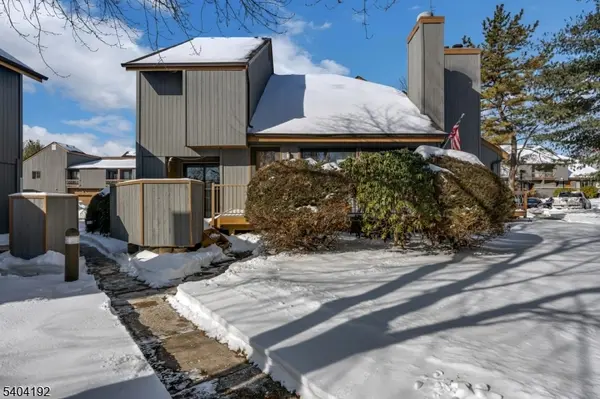 85 Sycamore Ct Ondo, Bernards Twp., NJ 07920