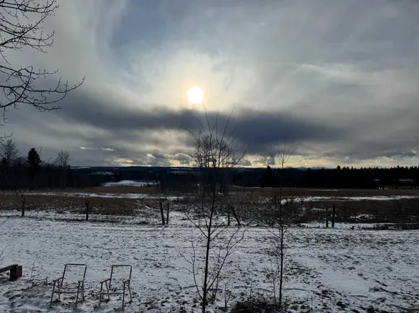 5227 Township Road 320 #99, Rural Mountain View County, AB T0M 1X0