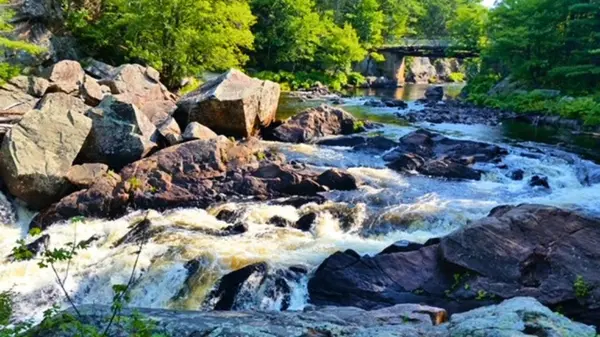 8101 Kings River RD, Ramara, ON L0K 2B0