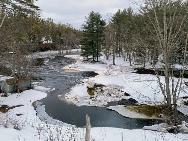 8101 Kings River RD, Ramara, ON L0K 2B0