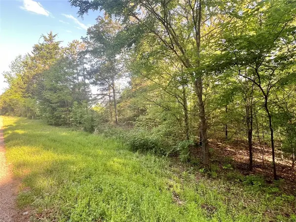 00 CR 1755, Mount Pleasant, TX 75455