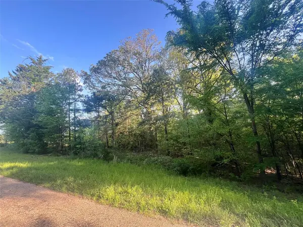 00 CR 1755, Mount Pleasant, TX 75455